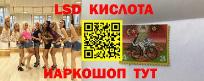 ECSTASY Гай