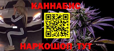 бошки Гагарин