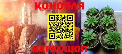 гашиш Гатчина