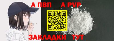 ECSTASY Гай